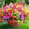 Artificial Fake Plants Flowers for Outdoor Outside Spring Summer Decoration, 12 Bundles Faux Silk Colorful Mix Daisy UV Sun Resistant Realistic for Porch Patio Home Planter Window Box Yard